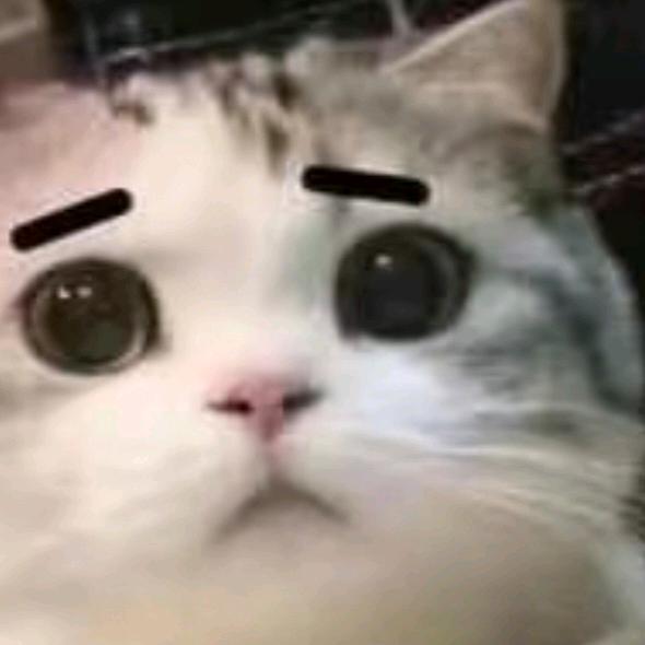 大太阳