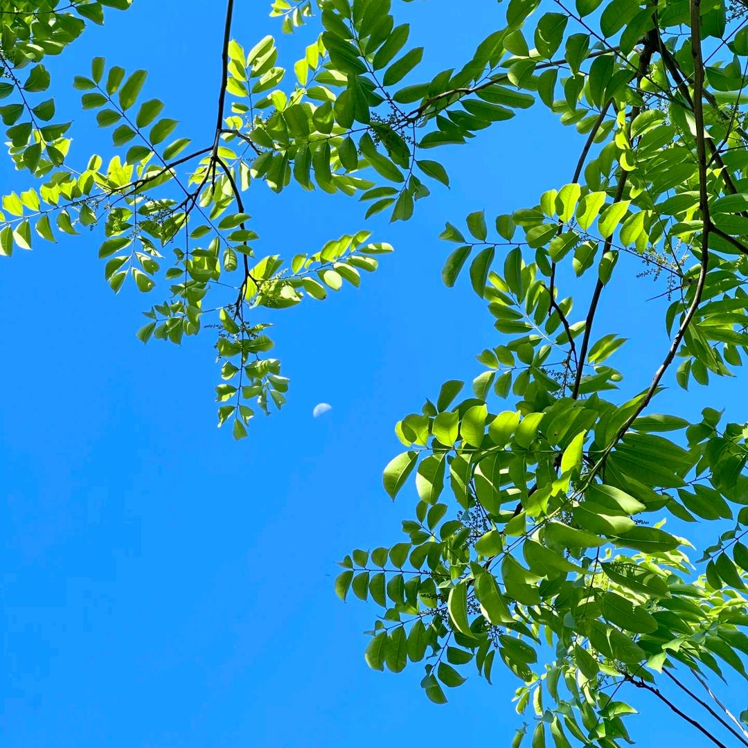 沅江市昇阳百货店（个体工商户）