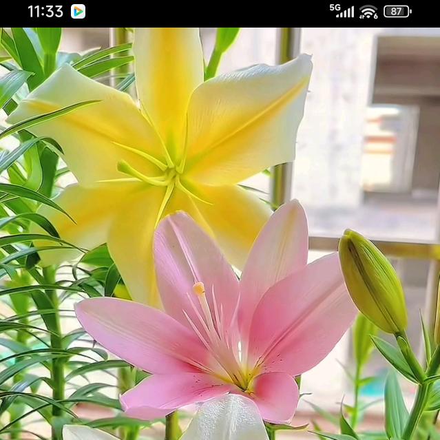 ღ💞এ᭄㞮孞🌺ོꦿ࿐