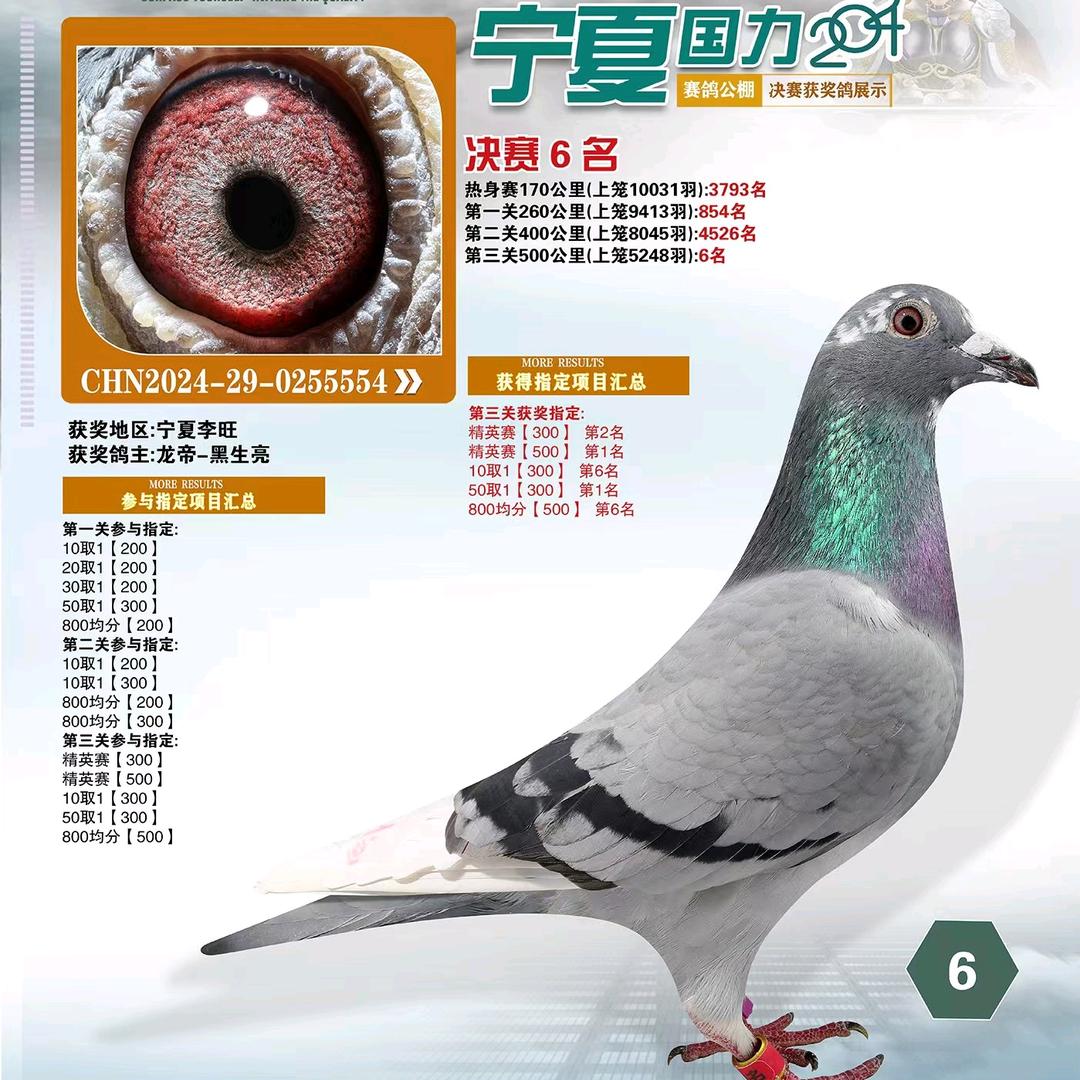 龙帝