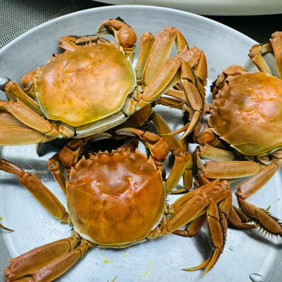 蟹老九🌾🌾🌾