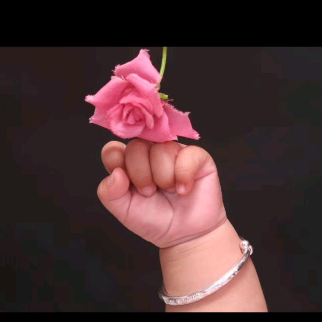 এ᭄浅笑꧔ꦿ᭄不语[玫瑰]