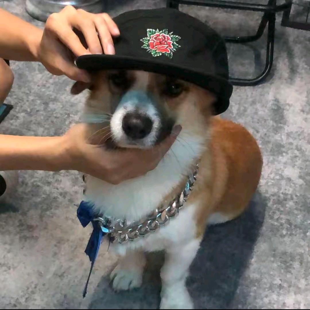 1048