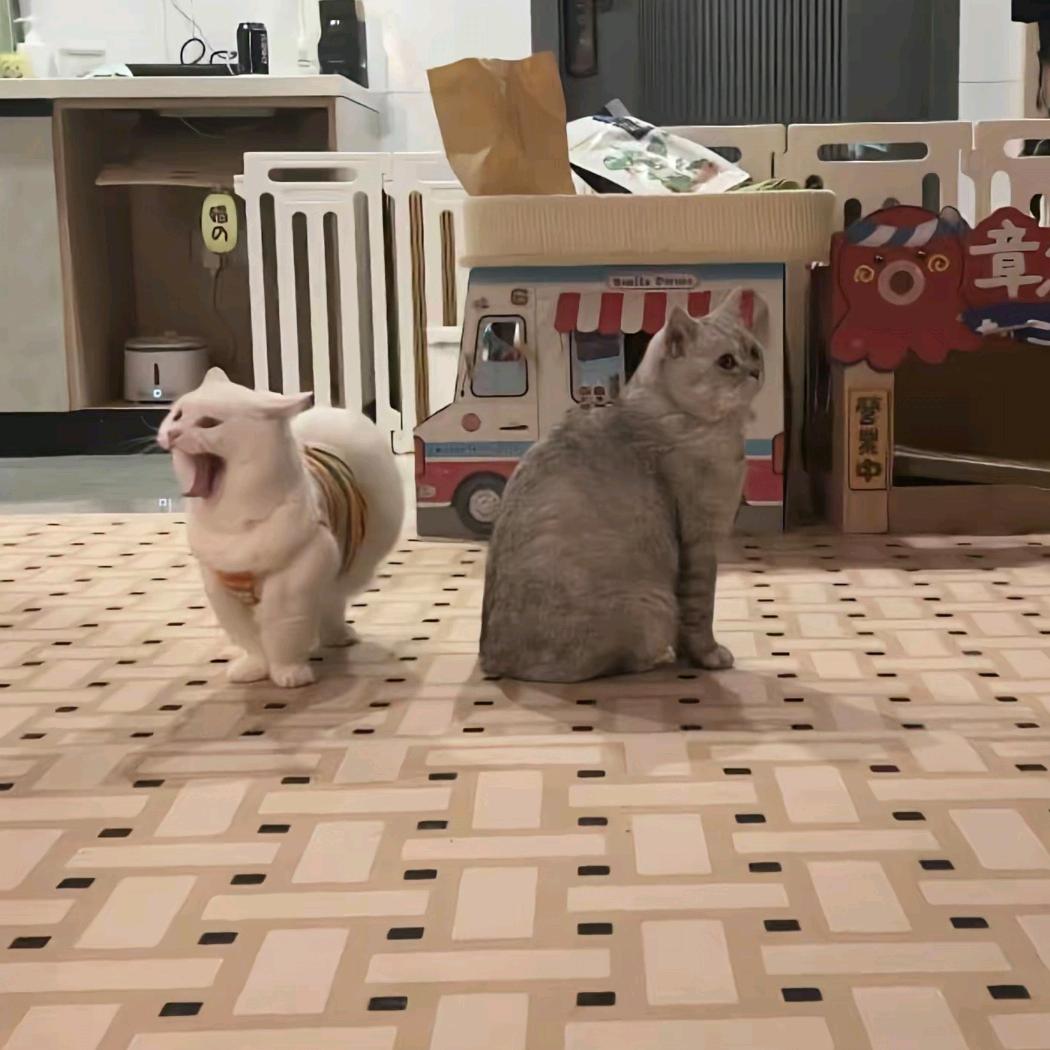 懒癌晚期。