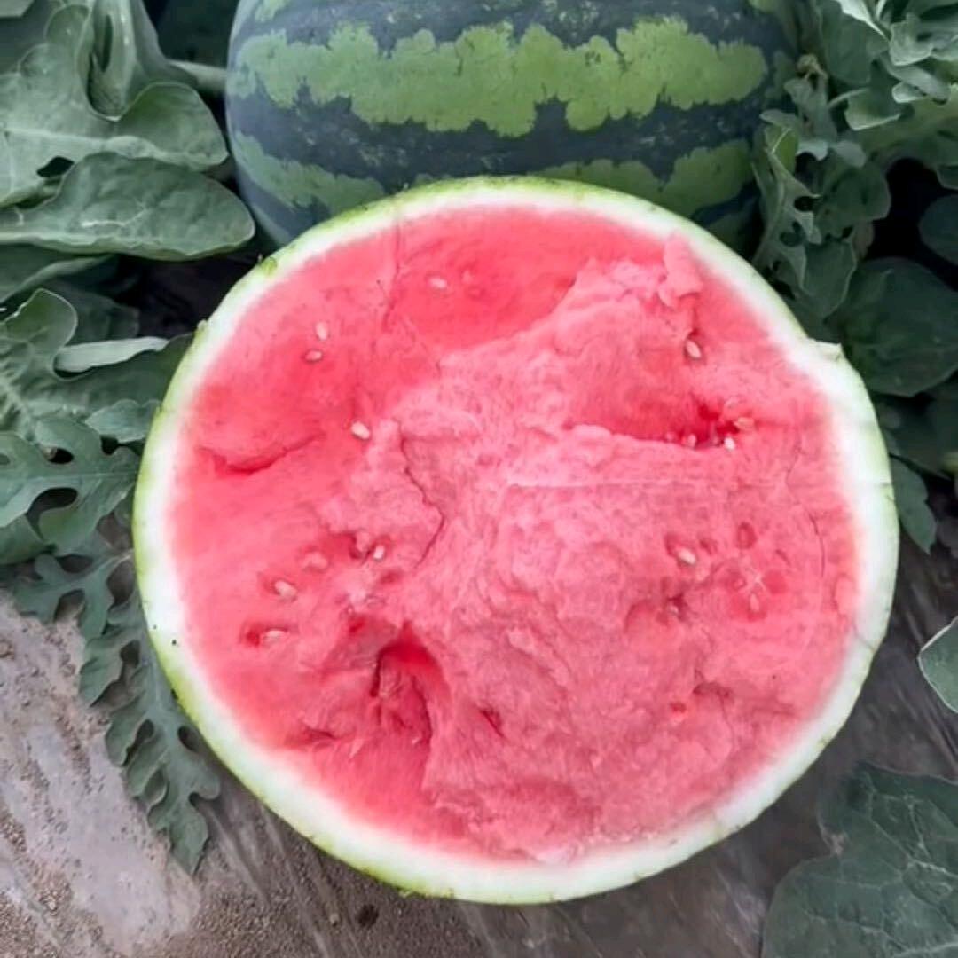 灰太狼卖麒麟！