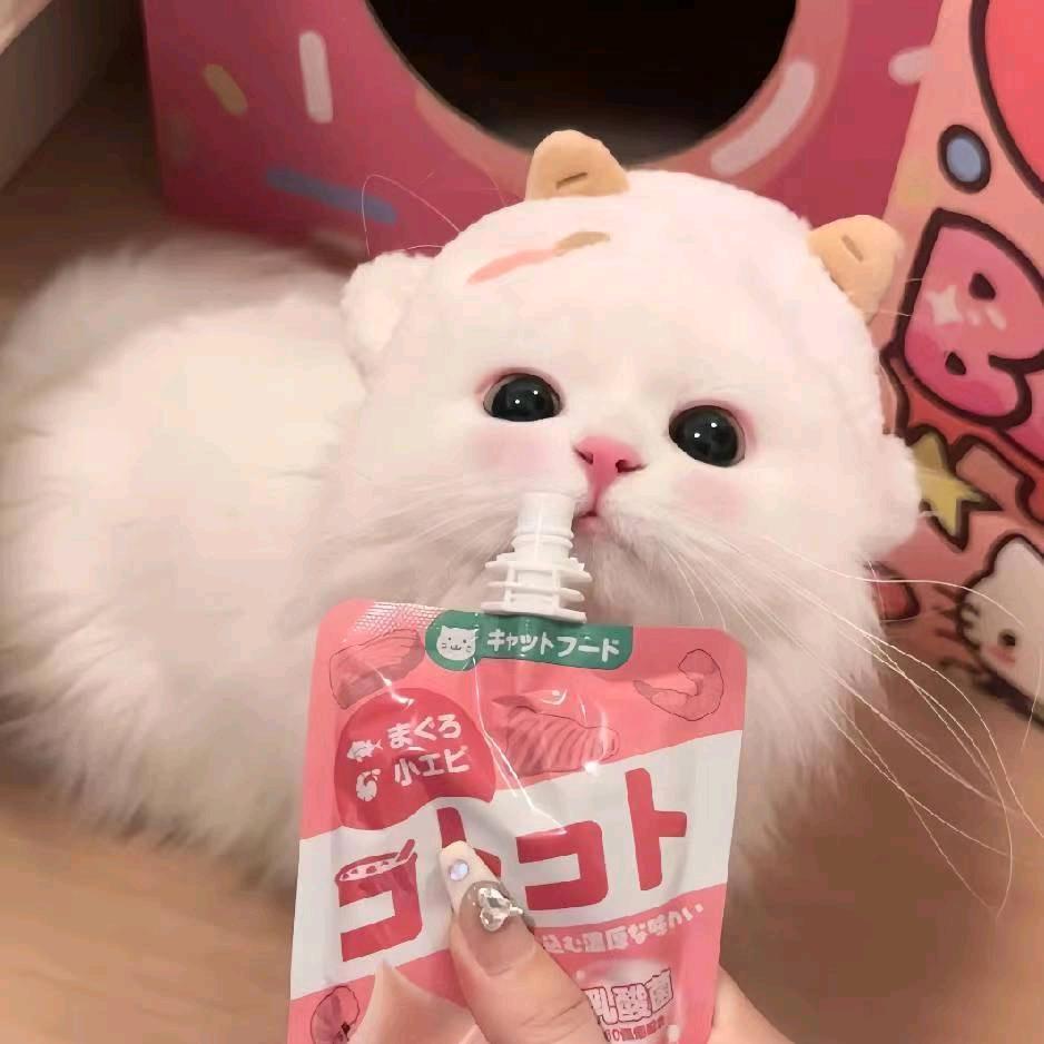 @小姝怡没烦恼