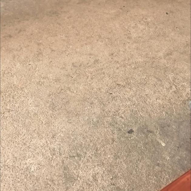 緣