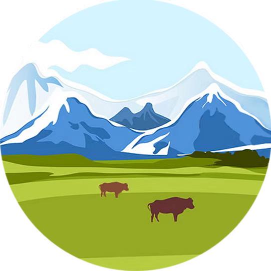 祁连山牧元牛羊肉
