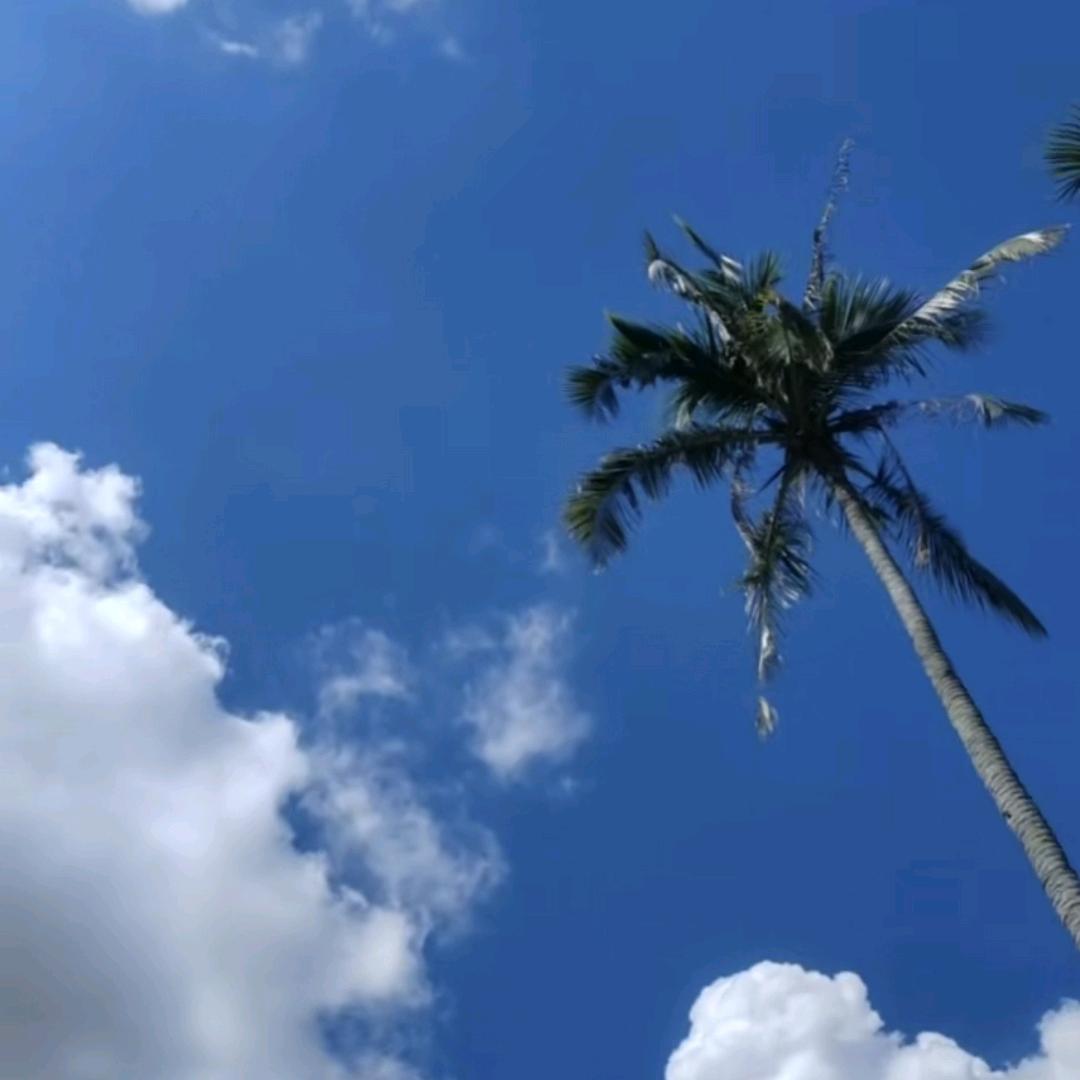 ²⁰²⁵ᰔᩚ浅夏🍀