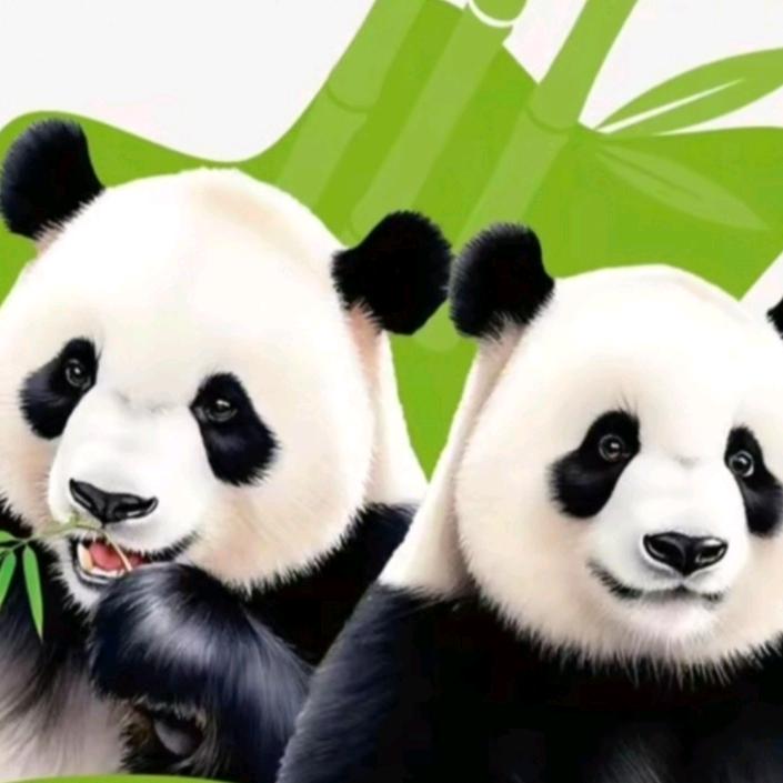 不被追赶的生活