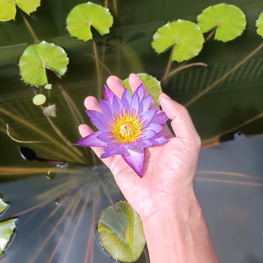 🌈🌈🌈大男孩