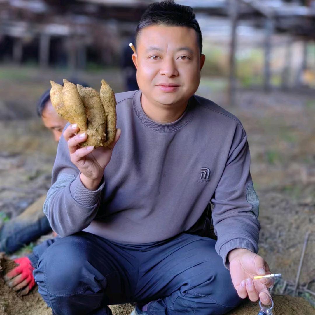 平平淡淡才是真