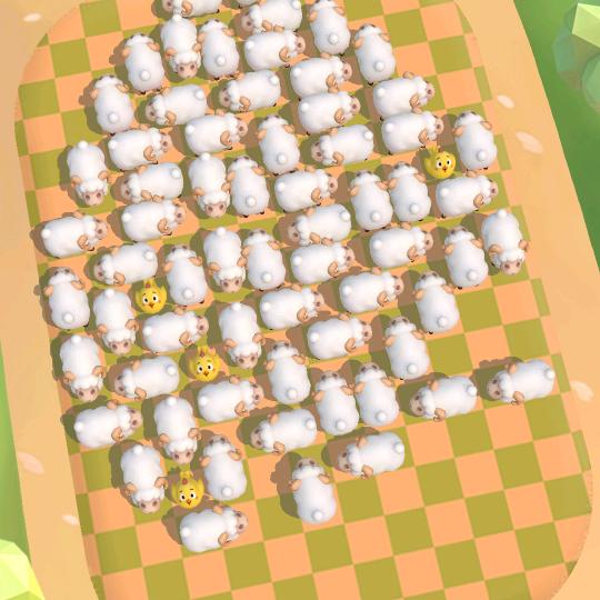 坚定自信