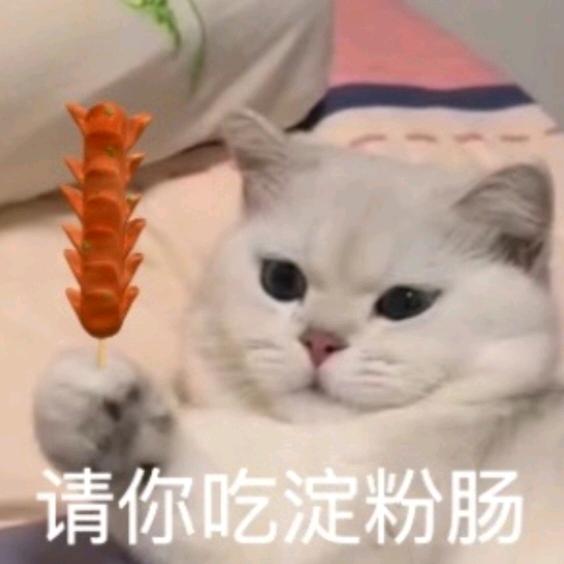 不吃兔子的萝卜