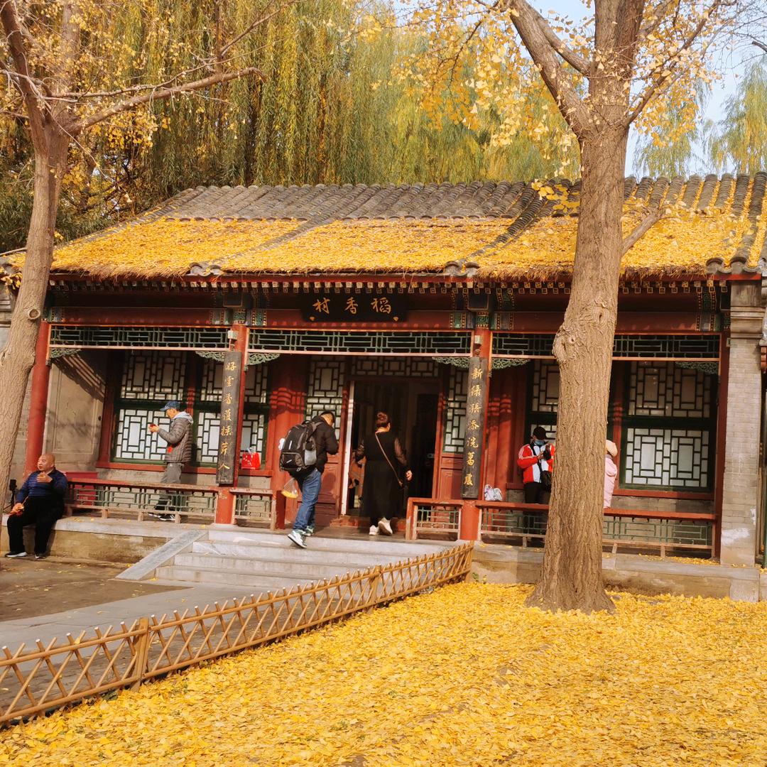 ZIJIN