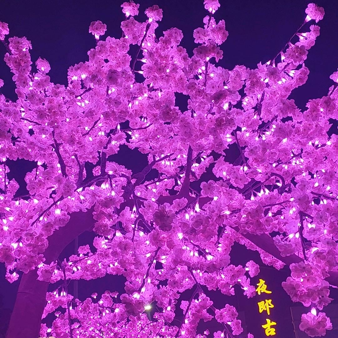 ꧁⁵²⁰痴心¹³¹⁴错付💓