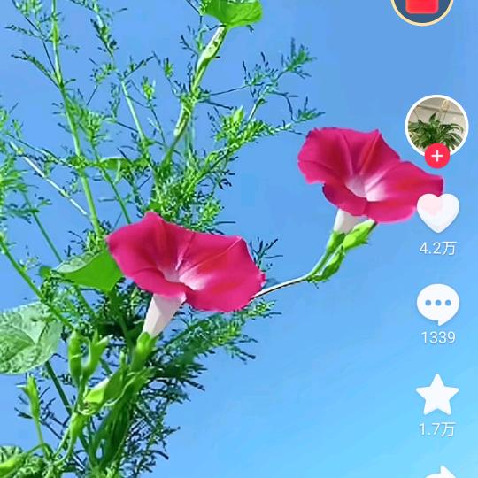 一笑而过
