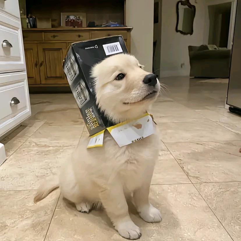 修勾有什么烦恼