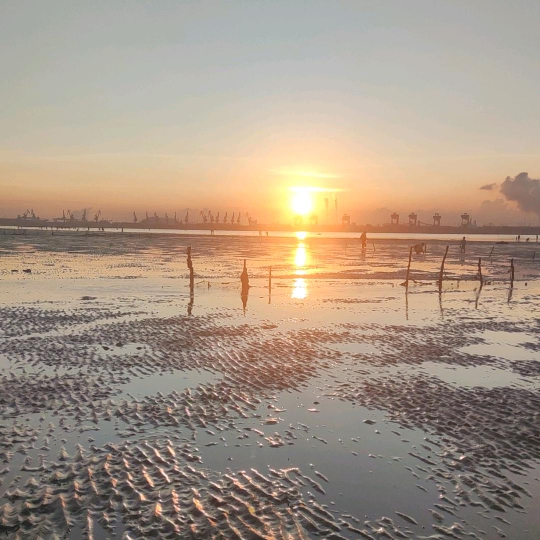 紫罗兰☀️