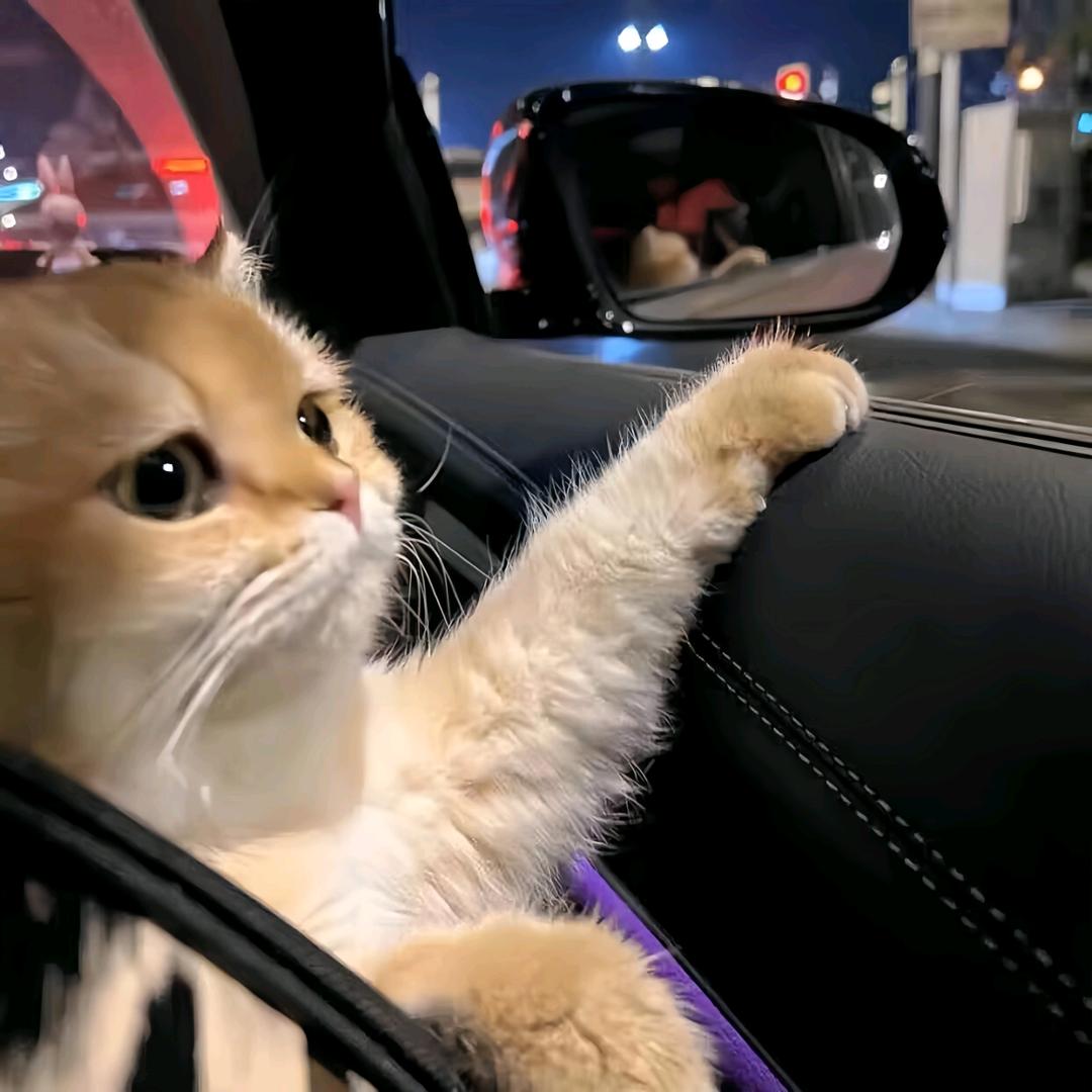 煜～