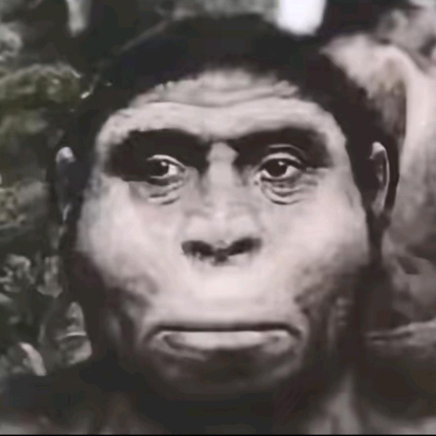 元气少年猪刚鬣