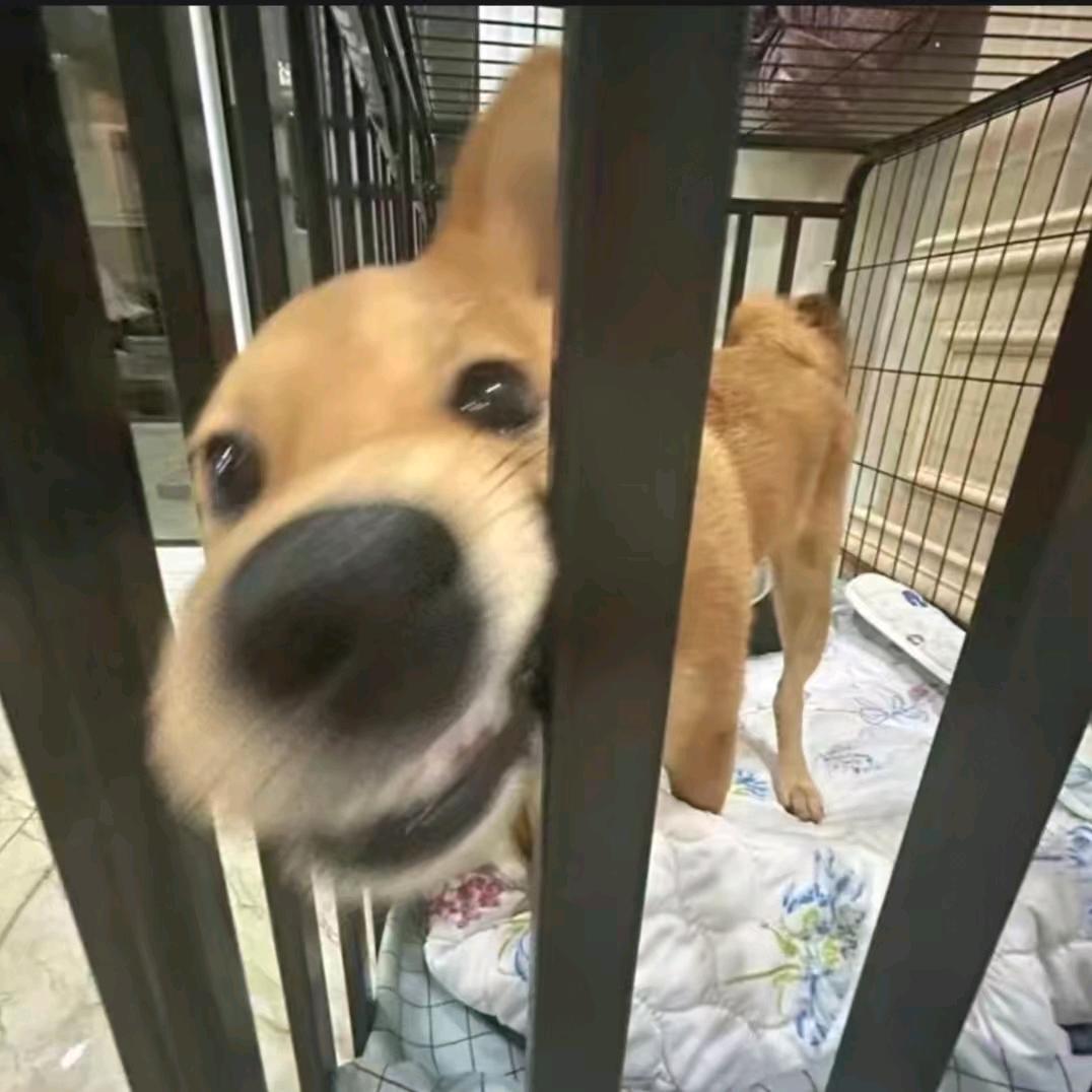 挖煤矿工安大柱