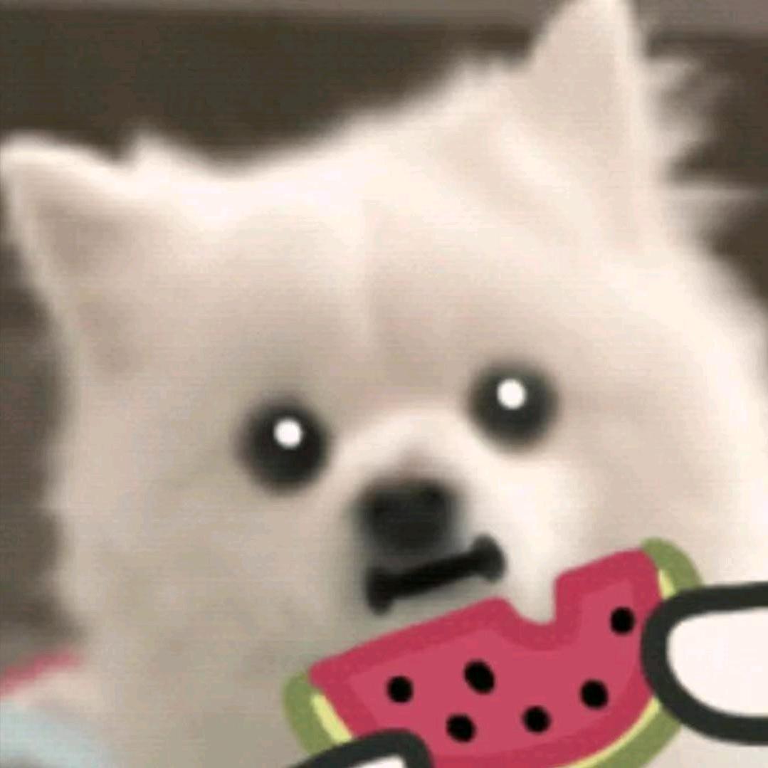 梦求真(暗区突围)