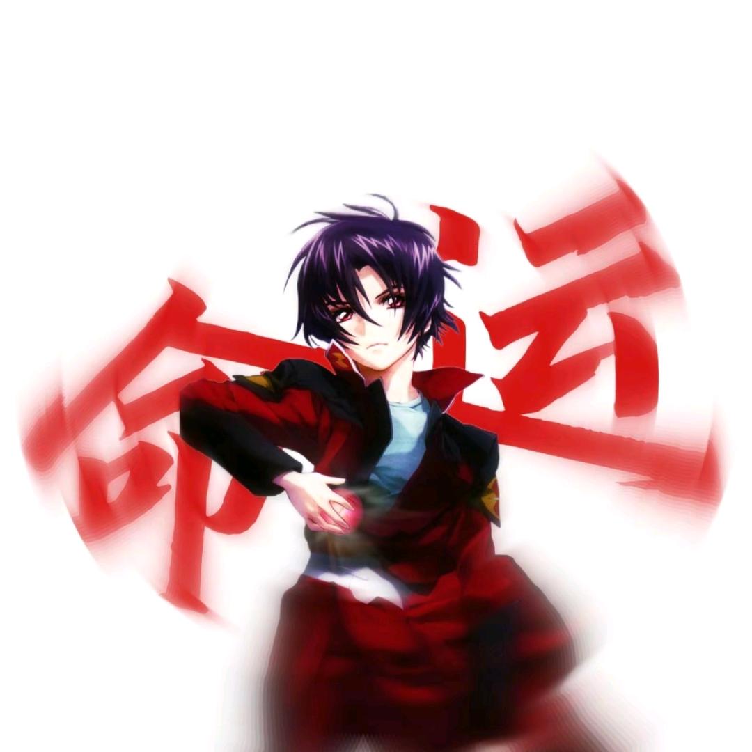 真·飞鸟