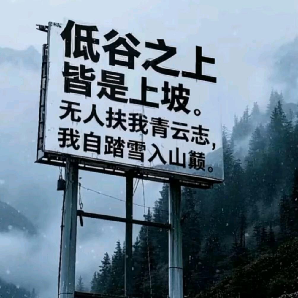 ི天ྀ❦启오웬