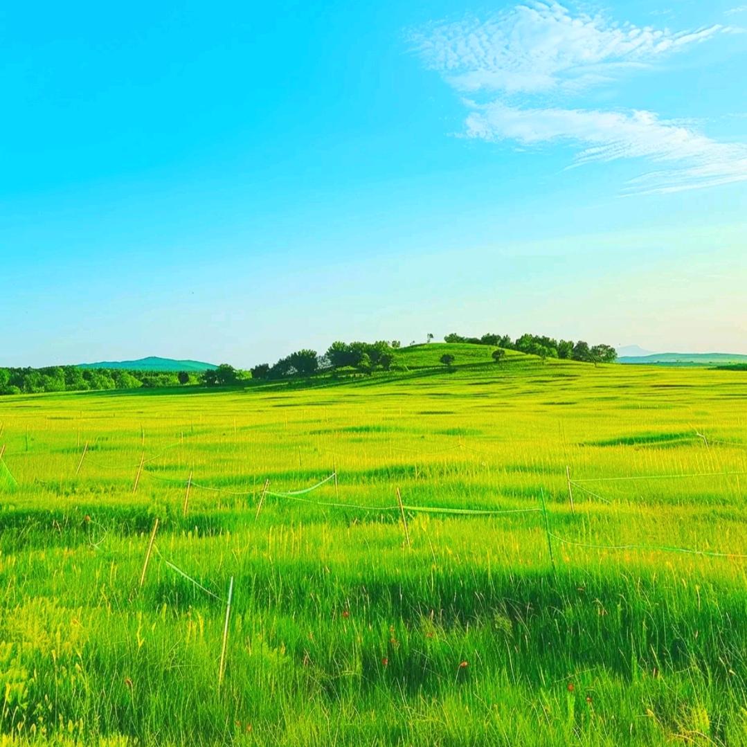 争取瘦个小圆脸