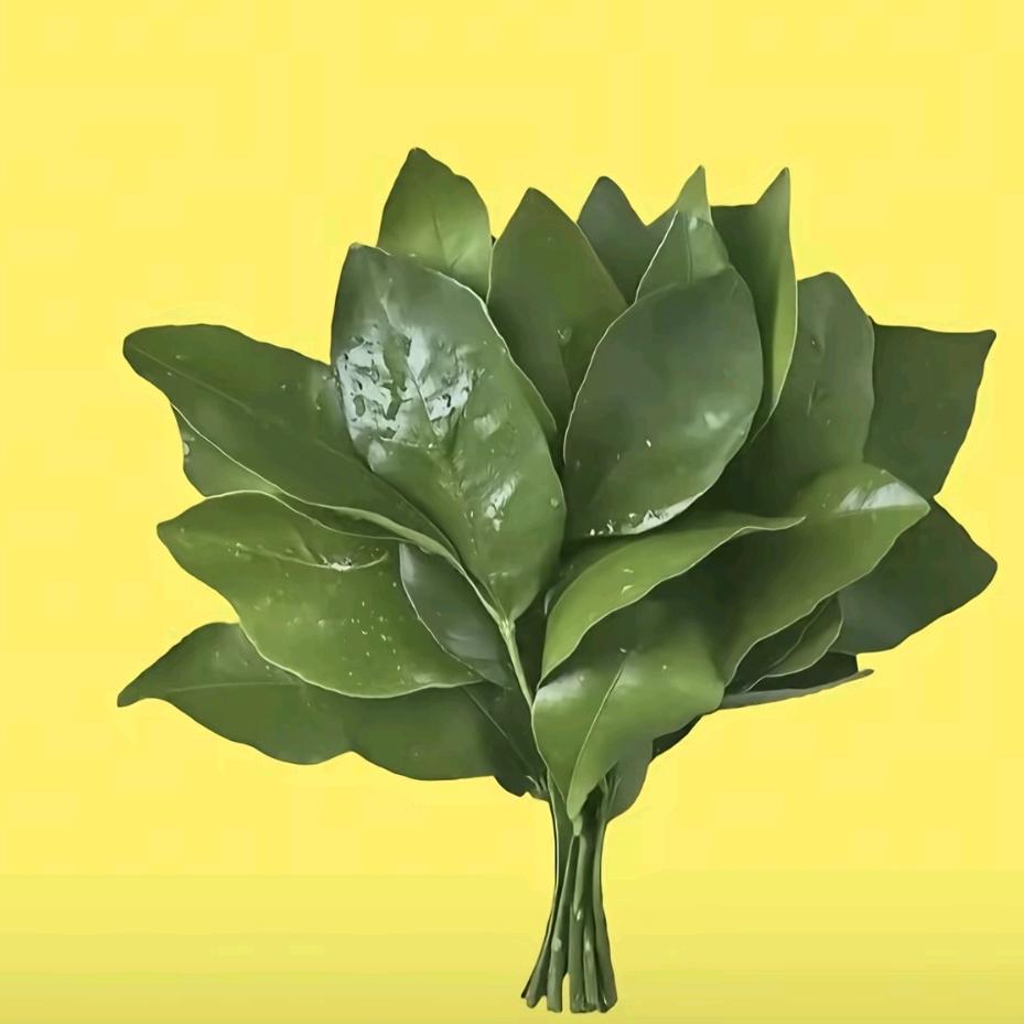 @开心快乐每一天