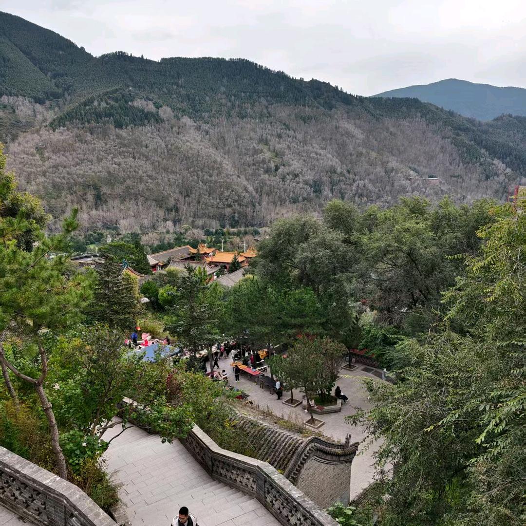 随心所欲（拒私聊）