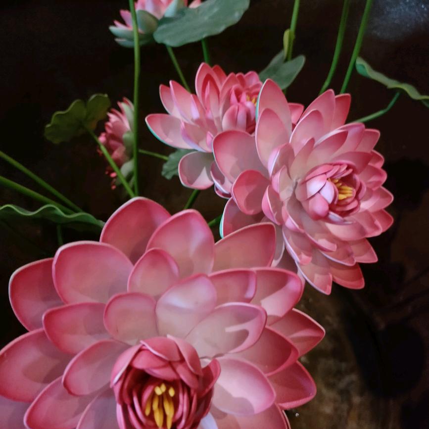芳