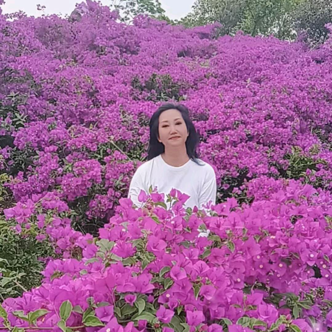 三角梅紫香花海旗舰店