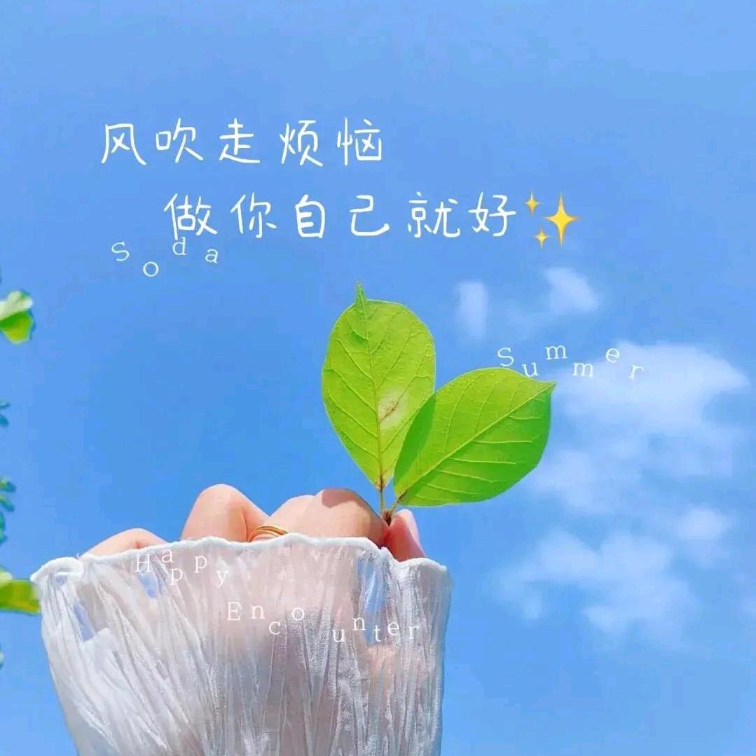 风再起时
