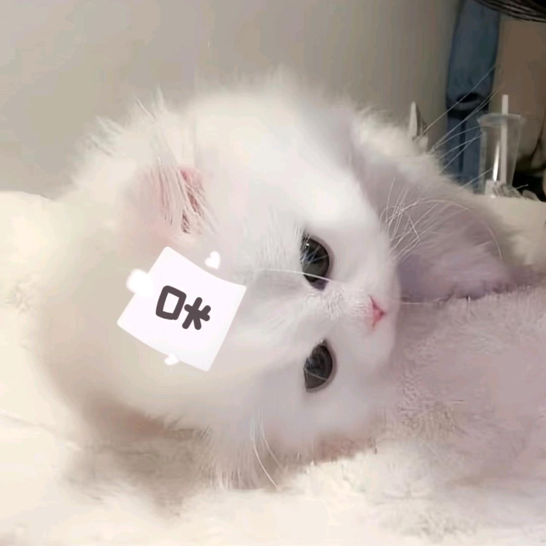 小雨