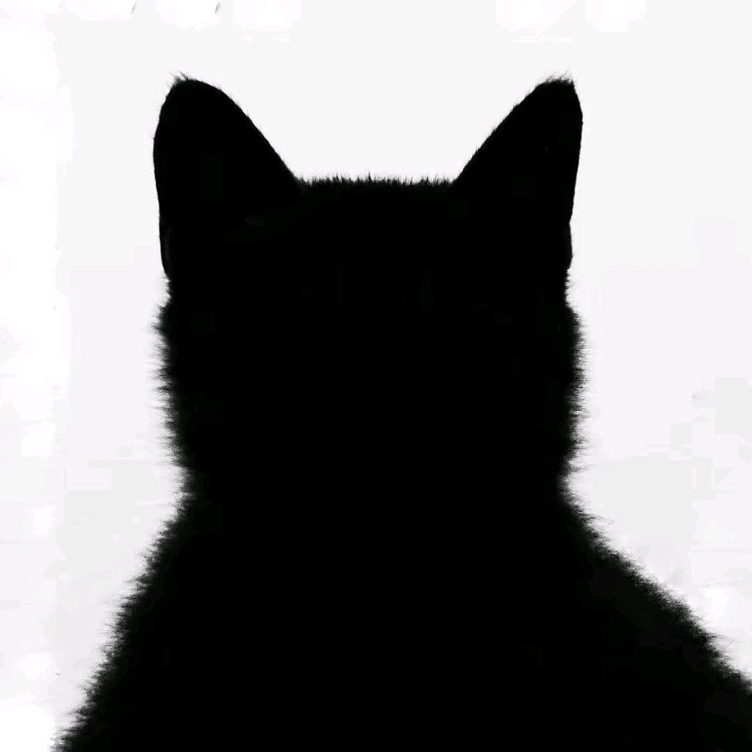 芋头^