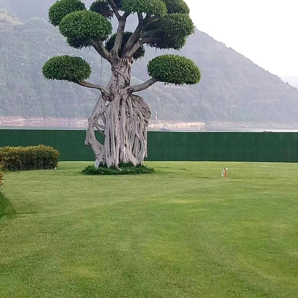 顺其自然