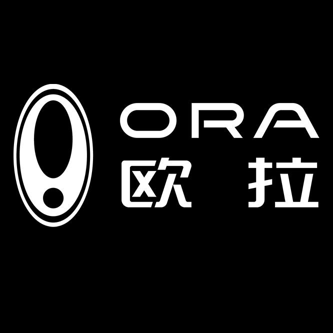长城欧拉汽车宁夏星际行店