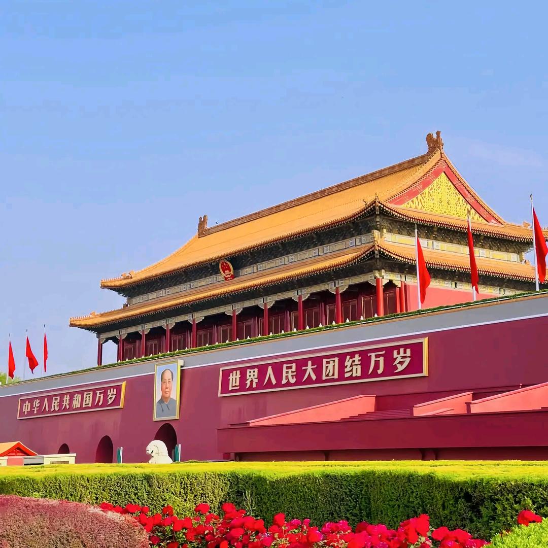 锦鲤
