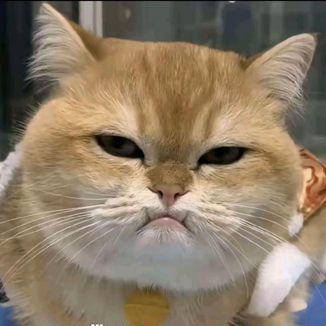 The Great MonkeyKing