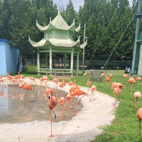 宜宾燃面