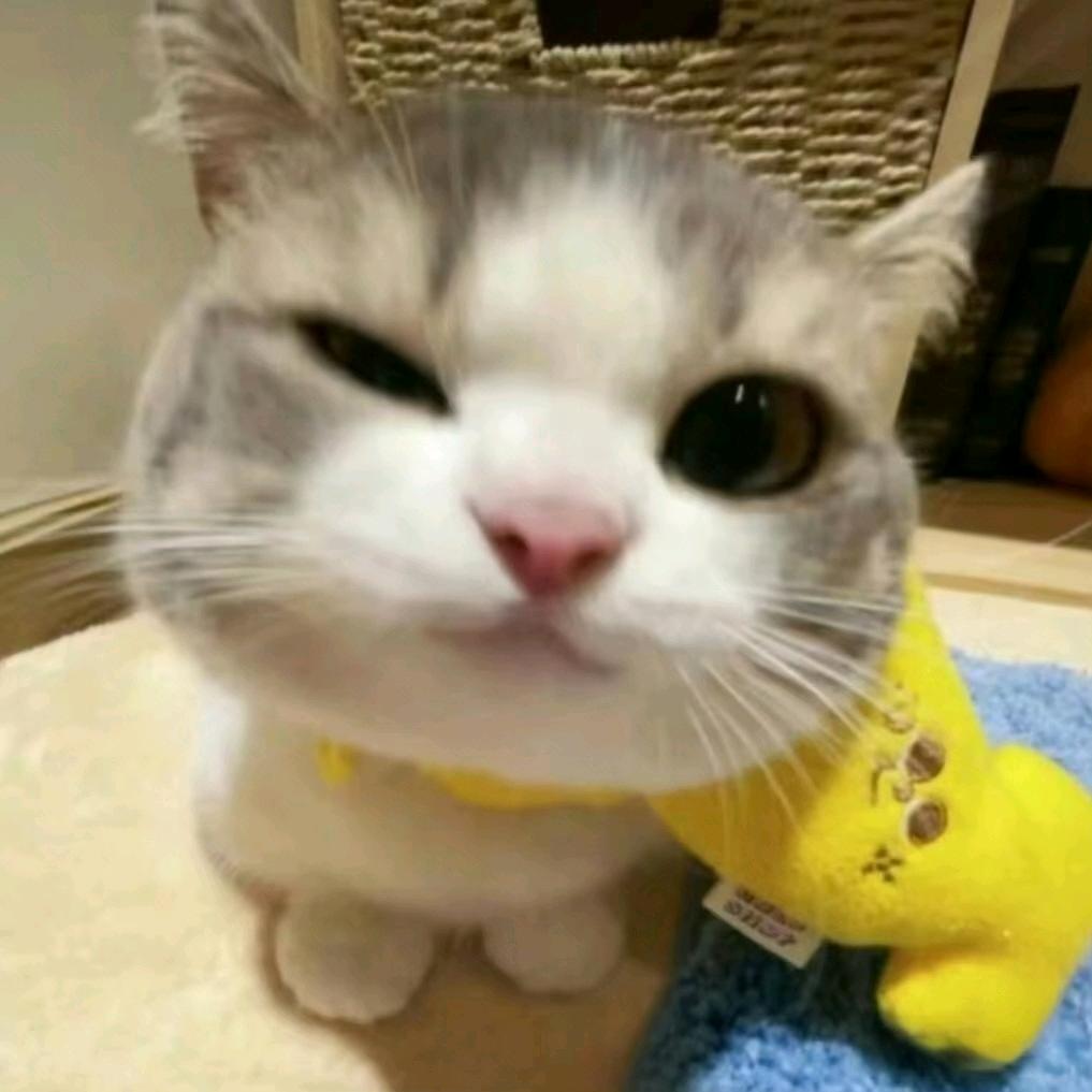 @宾糖葫芦