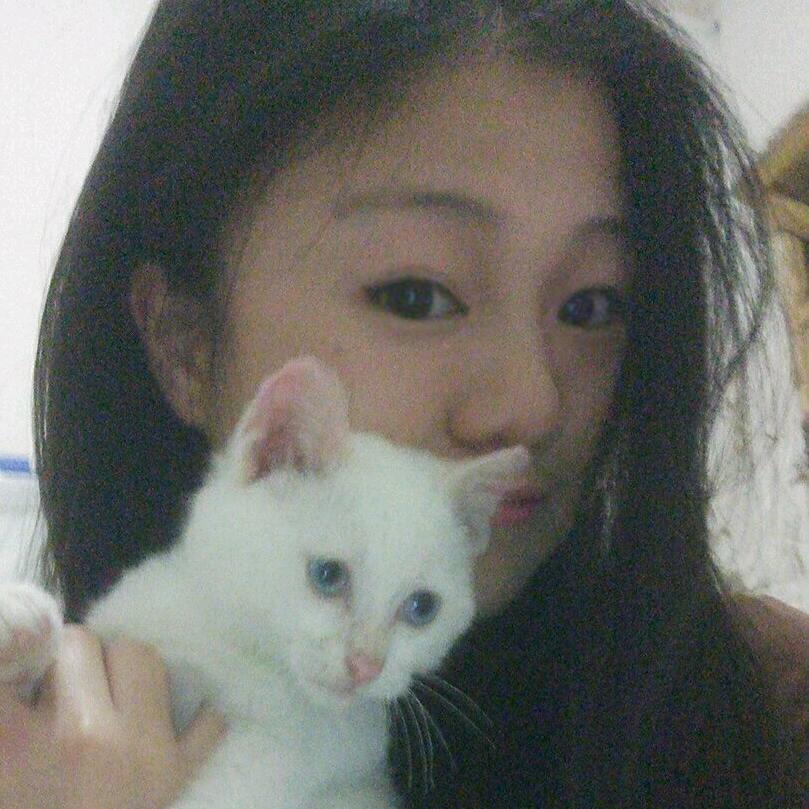 加勒比海带~🐈