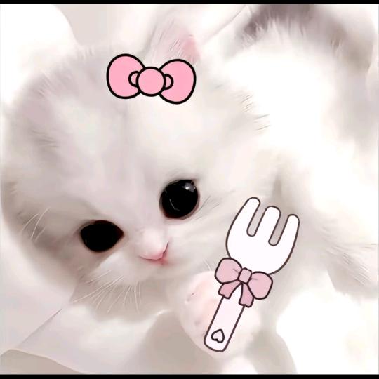 ꔷ × ꔷ