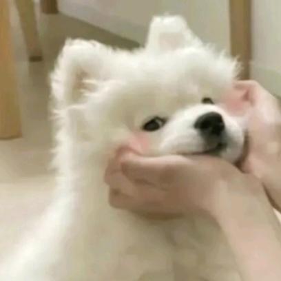 .W