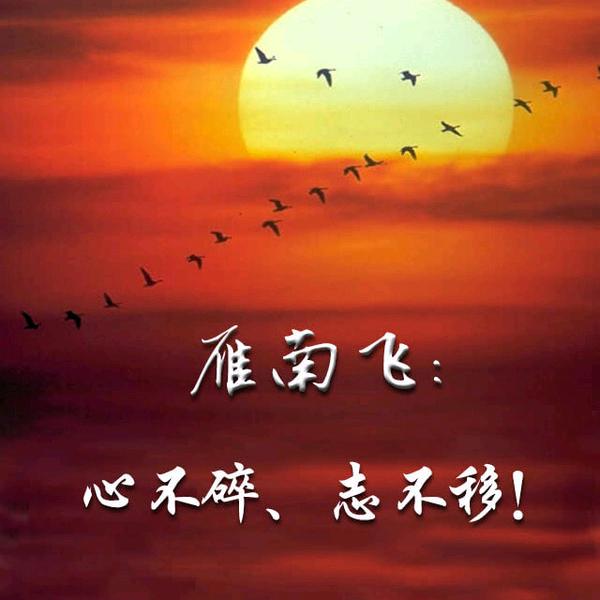 雁南飞（养号中）🔥