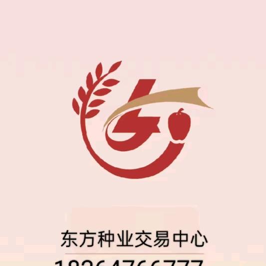 金乡众程农贸有限公司