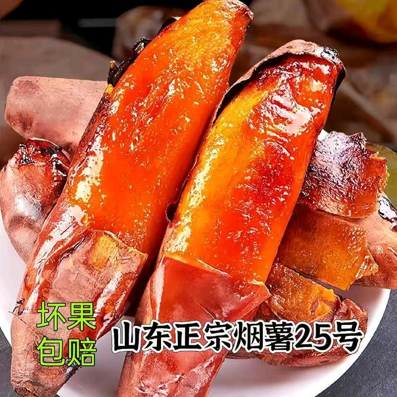 正宗烟薯25号产地直发（万能）