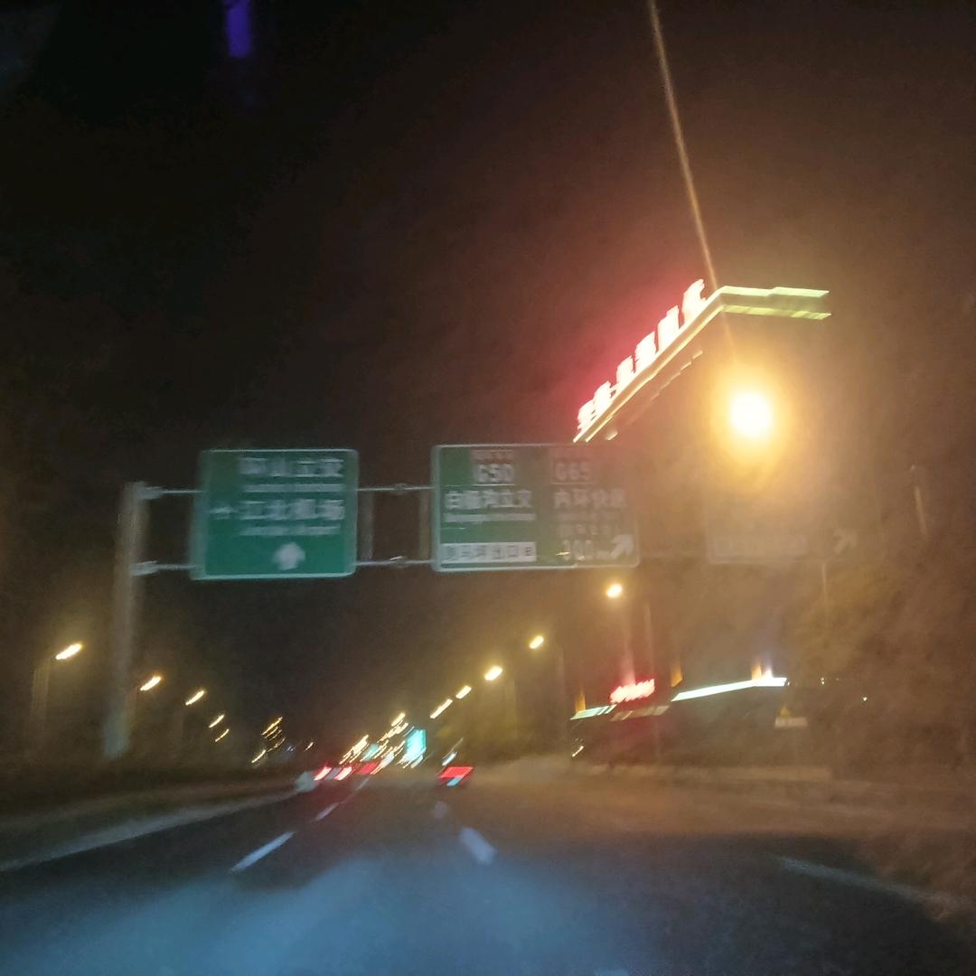 夜猫